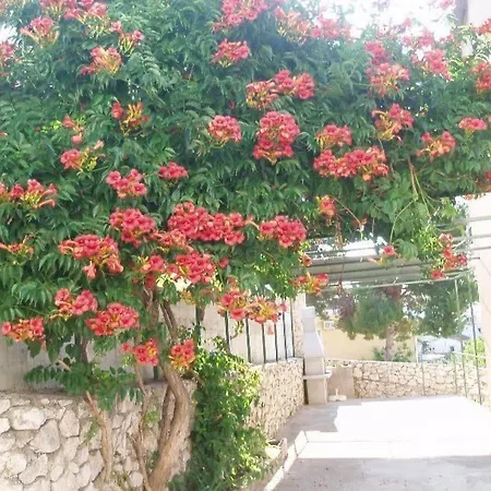 Mit Balkon Und Herrlichem Meerblick By Interhome 公寓