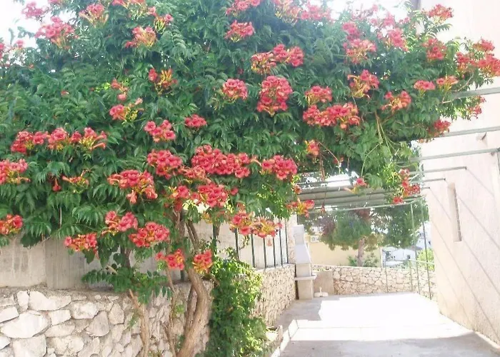 Mit Balkon Und Herrlichem Meerblick By Interhome 公寓